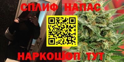 Альфа ПВП Краснознаменск