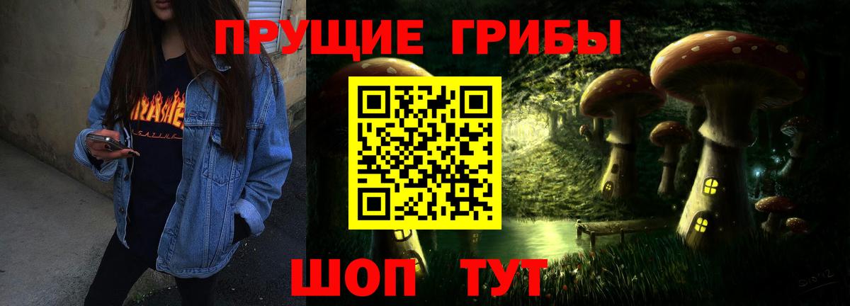 Псилоцибиновые грибы GOLDEN TEACHER Усть-Илимск